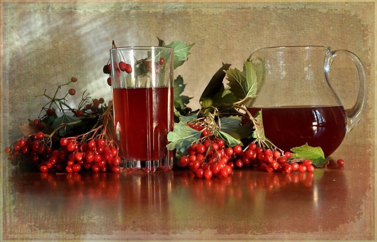 Калина при геморрое